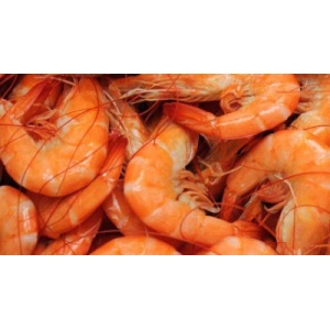 Fresh Louisiana Shrimp boiled