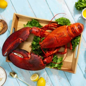 1 lb Live Maine Lobster