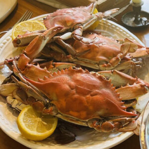 Fresh Cooked Blue Crabs – JUMBO 1 DOZEN