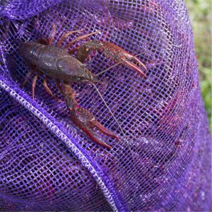 Midweek Mudbug Special – One Sack