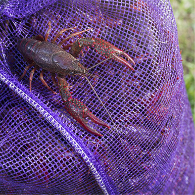 Midweek Mudbug Special – One Sack