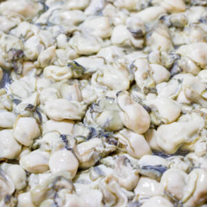Shucked Louisiana Oysters 16 oz